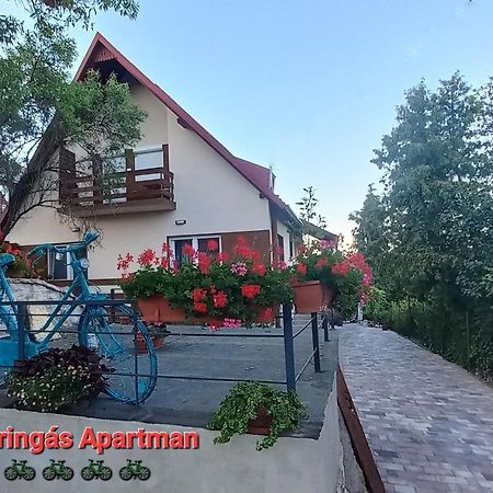 Апартаменты A Bringas Apartman Балатонфюред Экстерьер фото